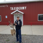 Chaney's Taxidermy