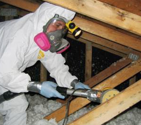 Mold Experts 24/7