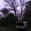 Tree-Mendous Tree Service gallery