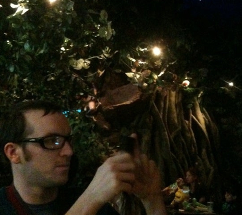 Rainforest Cafe - Katy, TX