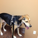 Summit Blvd Animal Hospital - Veterinarians