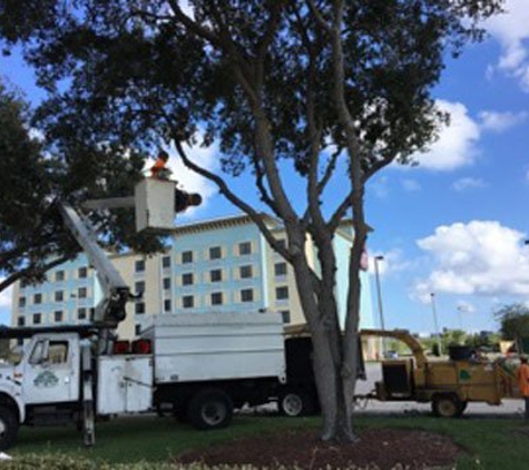 Larry Blackwelder Tree Service, Inc. - De Leon Springs, FL. Tree Service