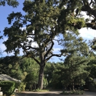 Redwood Coast Tree Care