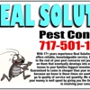 Real Solutions Pest Control gallery