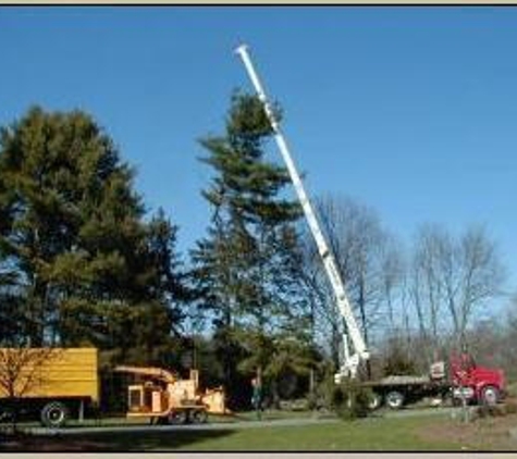 Pollock Bros Tree Serv Inc