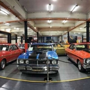 Gallery Image Number 7