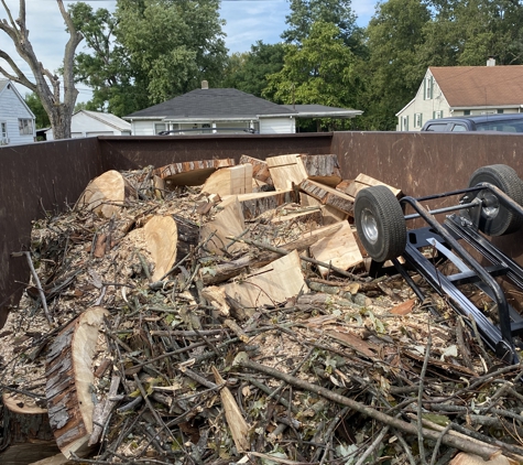 Tree Hugger Landscaping - Middletown, OH. tree removal