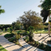 Gallery Image Number 6