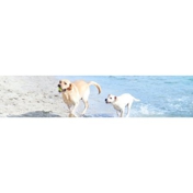 Gallery Image Number 8
