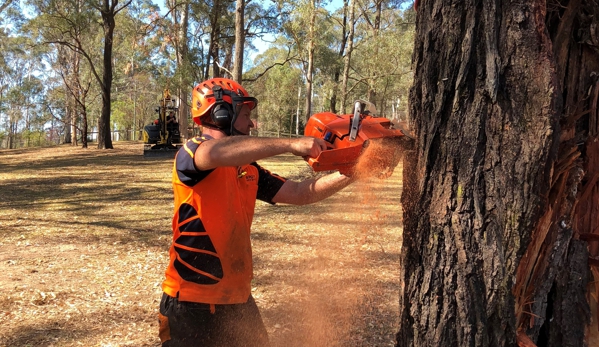 Brady Tree Service Pty Ltd