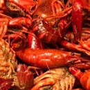 Little New Orleans Seafood and Oyster Bar - Seafood Restaurants