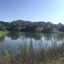 Yellow Rose Ranch - Ranches