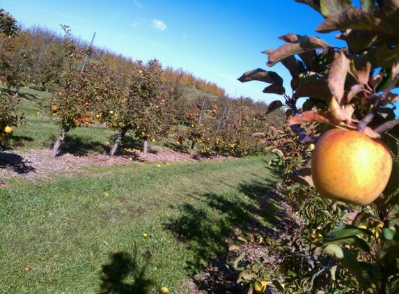 Lynd's Fruit Farm - Pataskala, OH