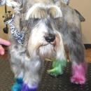 Pampered Pooch Fur Salon The - Pet Services