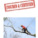 Sarasota Tree Care & Services