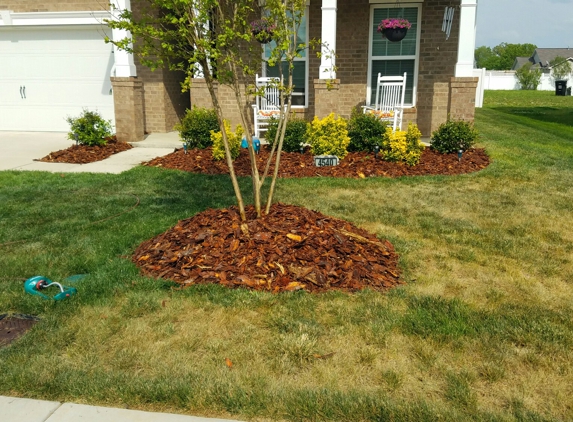 Lawn Firm - Kannapolis, NC