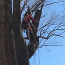 Cutting Edge Tree Care, LLC - Arborists