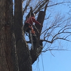 Cutting Edge Tree Care, LLC