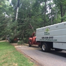 Certified Tree Experts - Tree Service