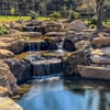 Black Koi Water Features and Ponds gallery