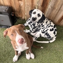 Pampered Pets Bed & Biscuit - Kennels