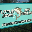 Little Jaws Big Smiles - Dentists