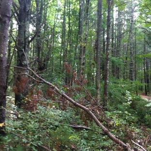 Rachel Carson National Wildlife Refuge - Wells, ME