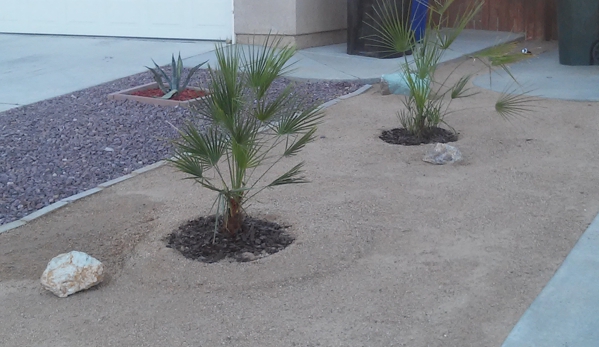 Big Davids Property Maintenance n Landscape - Victorville, CA