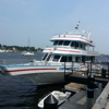 Newburyport Whale Watch - CLOSED gallery