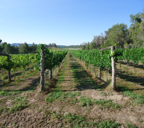 Fox Fire Farms Vineyards and Winery - Ignacio, CO