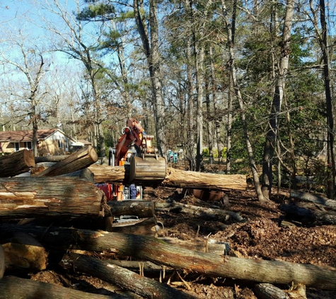 All tree pro removal and pruning L.L.C - Beech Island, SC