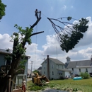 Long's Tree Service - Tree Service