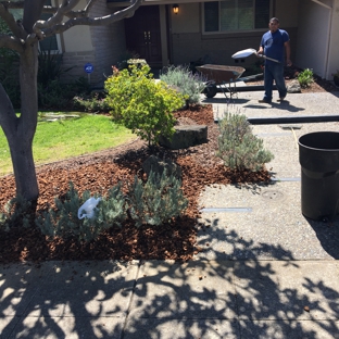 Ernesto's Gardening Services - San Jose, CA