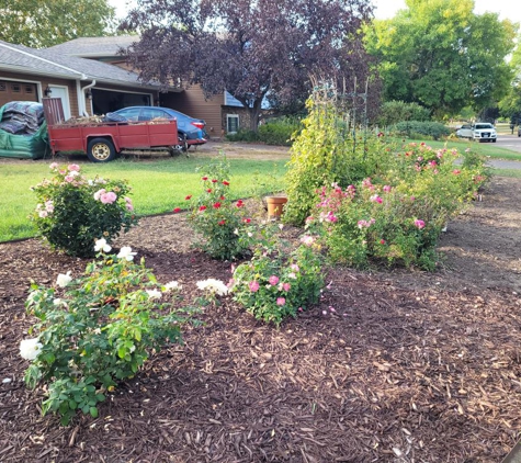 Hook & Ladder Lawn Services - Champlin, MN