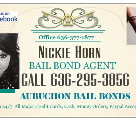 Aubuchon Bail Bonds - Warrenton, MO