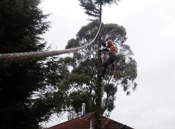 Adams Tree Services - St Leonards, TAS