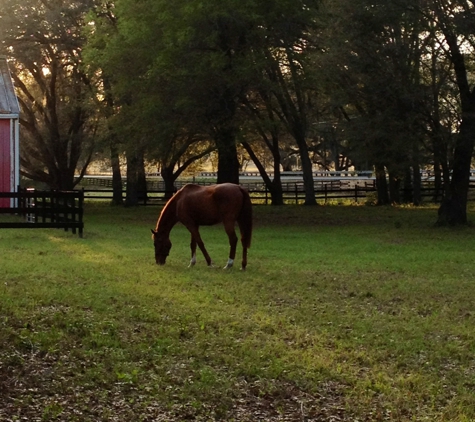 Copperfield Farm LLC - Weirsdale, FL