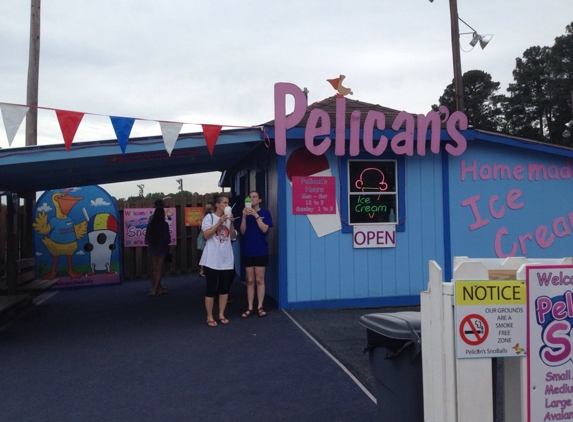 Pelican's SnowBalls - Raleigh, NC