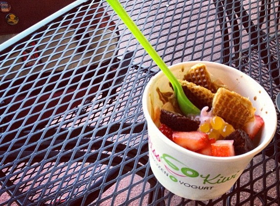 Bliss Kiwi Frozen Yogurt - Winter Springs, FL