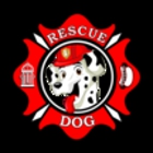 Rescue Dog of Flathead Valley