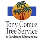 Tony Gomez Tree Service & Landscape Maintenance INC.