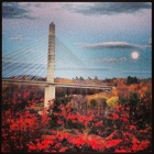 Penobscot Narrows Bridge & Observatory & Fort Knox - Maine