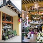 Enchanted Florist