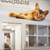 Petsmart Phoenix gallery