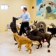 K9 Resorts Luxury Pet Hotel Scotch Plains - Fanwood