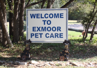 exmoor dog training
