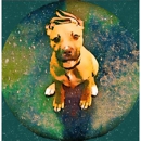 Neo's Pet Oasis - Pet Grooming