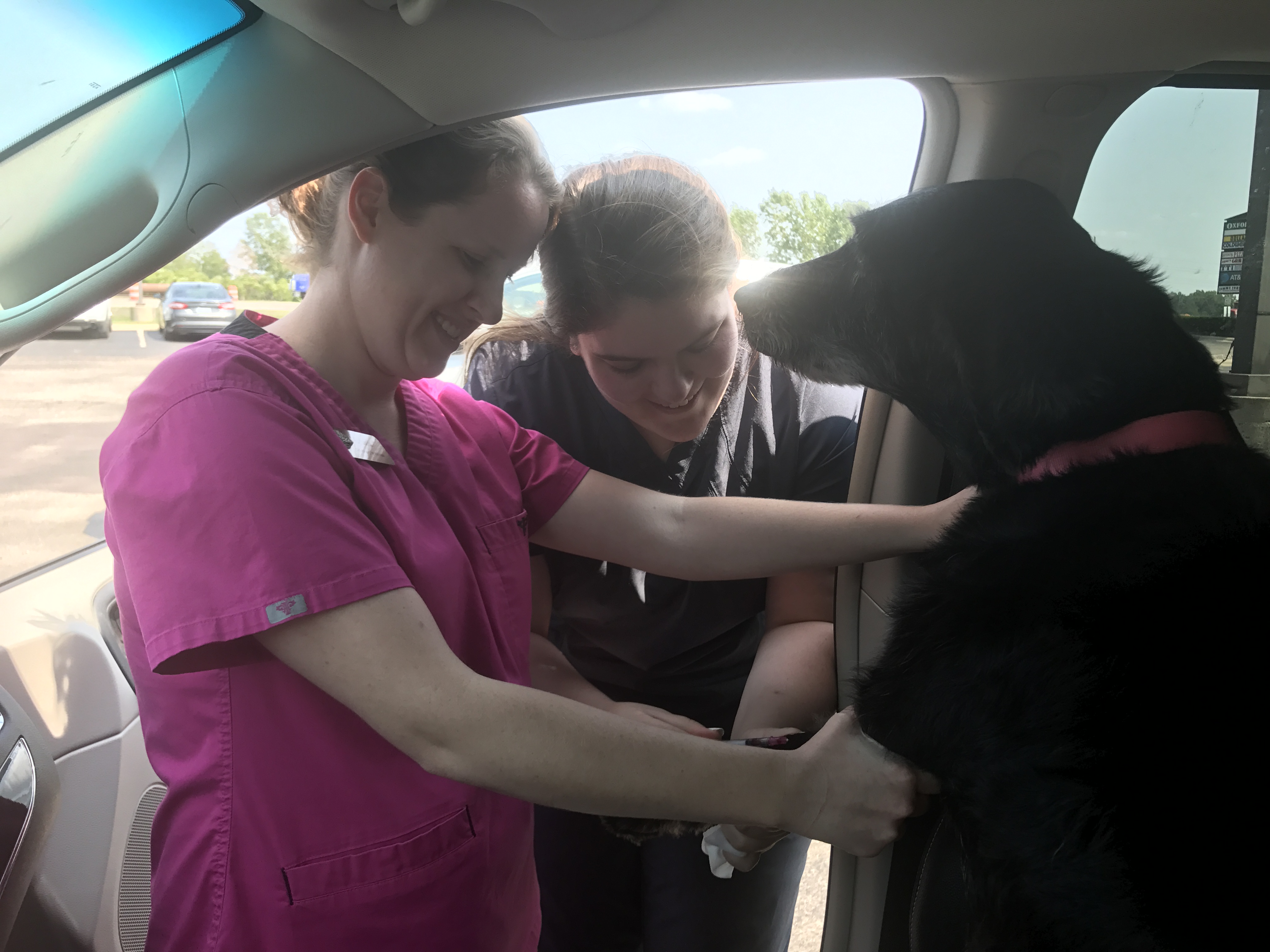 Animal Clinic At Oxford Mills 1380 S Lapeer Rd Oxford Mi 48371 Yp Com