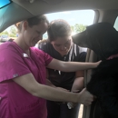 Animal Clinic At Oxford Mills - Veterinary Labs