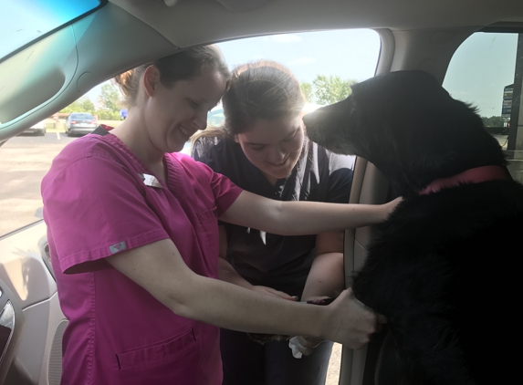 Animal Clinic At Oxford Mills - Oxford, MI. Curbside clinic!